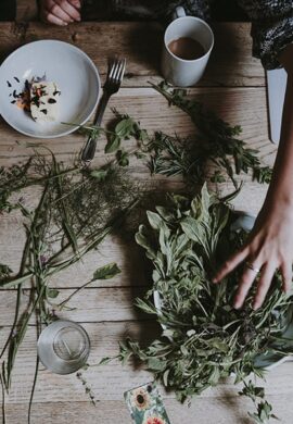 ERBE OFFICINALI, ALLA SCOPERTA DELLA NATURA MADONITA ERBE OFFICINALI, ALLA SCOPERTA DELLA NATURA MADONITA