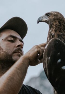 FALCONERIA NATURALISTICA: BIRD-WATCHING AI PIEDI DEL POLLINO.