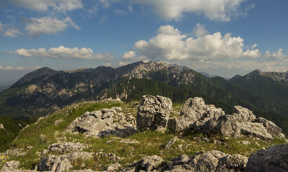 Molise