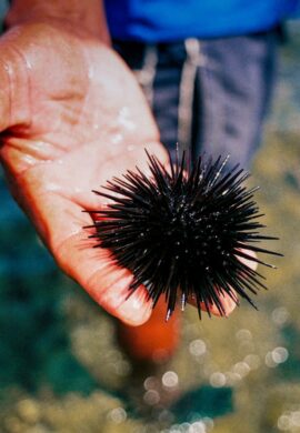 UN’IMMERSIONE NEL BLU: SCIACCA. UN’IMMERSIONE NEL BLU: SCIACCA.