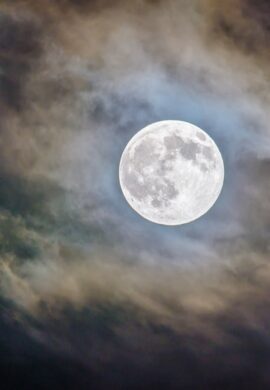 MYSTERIOUS: NEI MEANDRI DELLA PALERMO SEGRETA. MYSTERIOUS: NEI MEANDRI DELLA PALERMO SEGRETA.