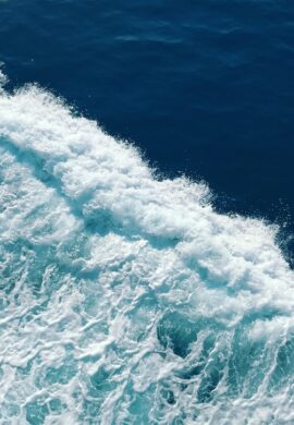 DI MAGIA E DI MARE: LA GROTTA DEL MAGO.