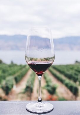APERITIVO IN CANTINA: UN VIAGGIO NELLA BIODIVERSITA’.