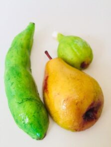 LE VIRTUOSE ED I PECCATI DI GOLA.