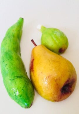 LE VIRTUOSE ED I PECCATI DI GOLA. LE VIRTUOSE ED I PECCATI DI GOLA.