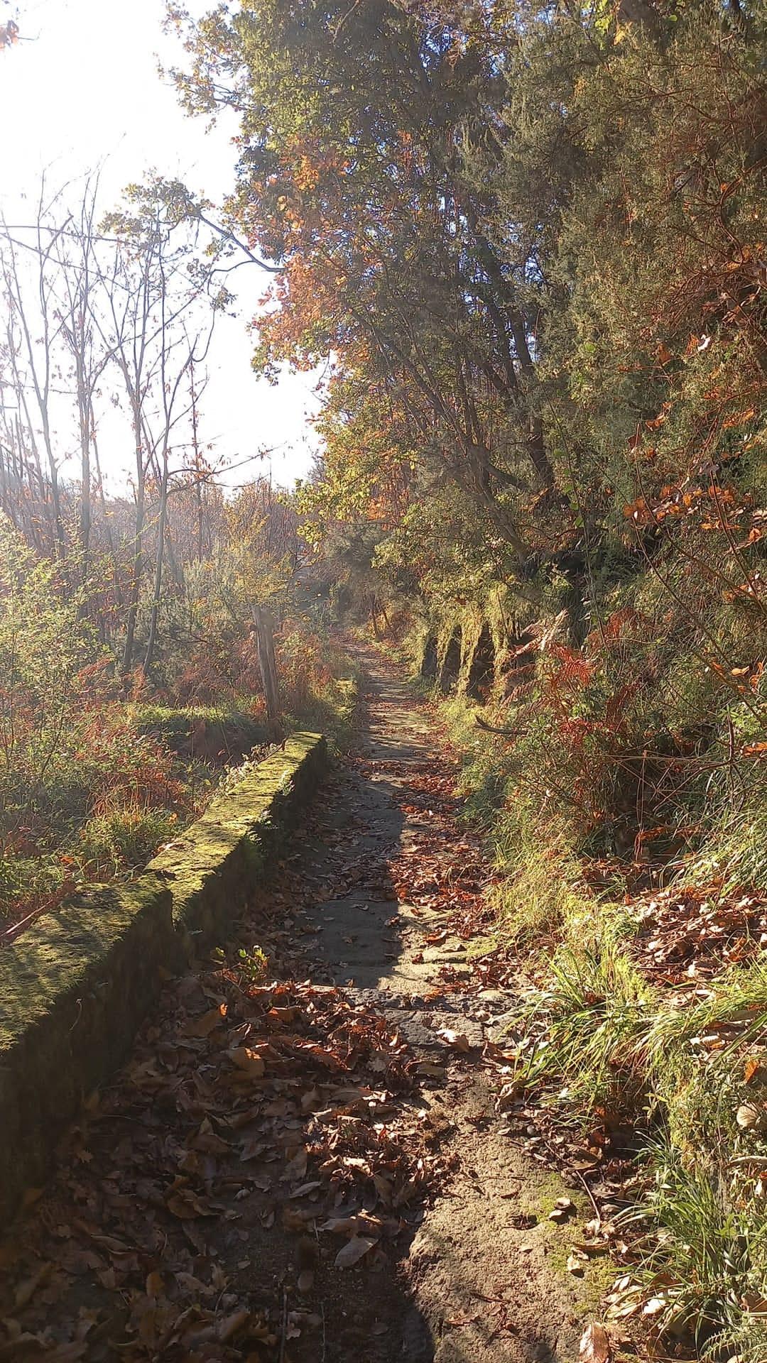 UN PERCORSO TUTTO VERDE.