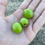 2021-11-15-17.21.47-300x400-min 2021-11-15-17.21.47-300x400-min