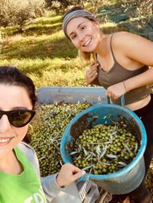 TEDTRIP OIL EXPERIENCE: RACCOLTA DELLE OLIVE