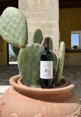 Pausa in cantina di “Tenuta La Favola” Pausa in cantina di “Tenuta La Favola”