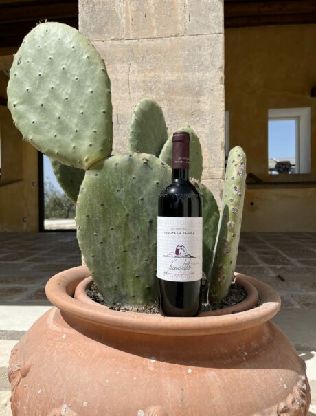 Pausa in cantina di “Tenuta La Favola”