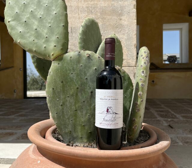 Pausa in cantina di “Tenuta La Favola”