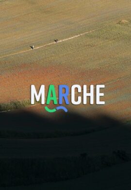 MARCHE: the answer to all questions.