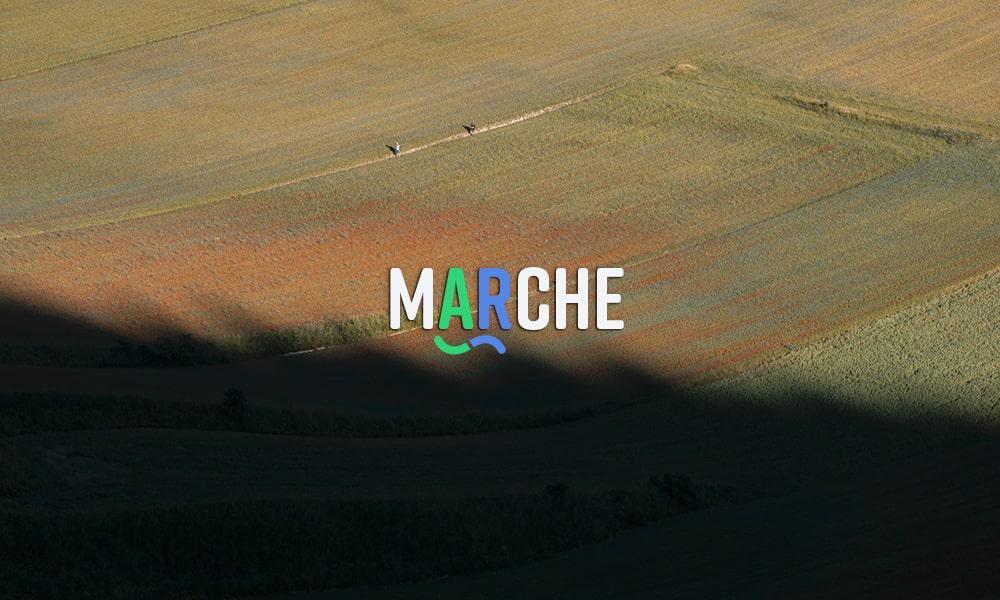 MARCHE: the answer to all questions.