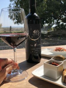 Discovering Nero d’Avola wine