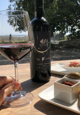 Discovering Nero d’Avola wine